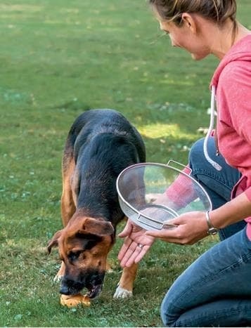 Иллюстрация к книге — Идеальная собака не выгуливает хозяина. Как воспитать собаку без вредных привычек [i_190.jpg]