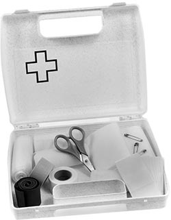 Иллюстрация к книге — Дрессировка без наказания. Пять недель, которые сделают вашу собаку лучшей в мире [i_021.jpg]