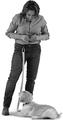 Иллюстрация к книге — Дрессировка без наказания. Пять недель, которые сделают вашу собаку лучшей в мире [i_025.jpg]