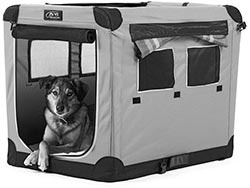 Иллюстрация к книге — Дрессировка без наказания. Пять недель, которые сделают вашу собаку лучшей в мире [i_028.jpg]