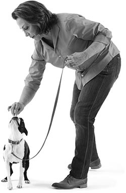 Иллюстрация к книге — Дрессировка без наказания. Пять недель, которые сделают вашу собаку лучшей в мире [i_031.jpg]