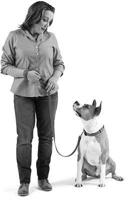 Иллюстрация к книге — Дрессировка без наказания. Пять недель, которые сделают вашу собаку лучшей в мире [i_036.jpg]