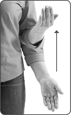 Иллюстрация к книге — Дрессировка без наказания. Пять недель, которые сделают вашу собаку лучшей в мире [i_045.jpg]