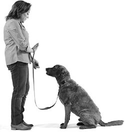 Иллюстрация к книге — Дрессировка без наказания. Пять недель, которые сделают вашу собаку лучшей в мире [i_051.jpg]