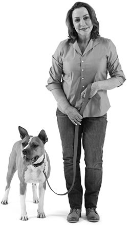 Иллюстрация к книге — Дрессировка без наказания. Пять недель, которые сделают вашу собаку лучшей в мире [i_059.jpg]