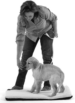 Иллюстрация к книге — Дрессировка без наказания. Пять недель, которые сделают вашу собаку лучшей в мире [i_060.jpg]