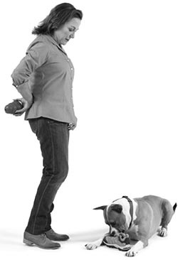 Иллюстрация к книге — Дрессировка без наказания. Пять недель, которые сделают вашу собаку лучшей в мире [i_063.jpg]