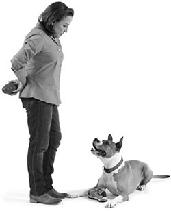 Иллюстрация к книге — Дрессировка без наказания. Пять недель, которые сделают вашу собаку лучшей в мире [i_064.jpg]