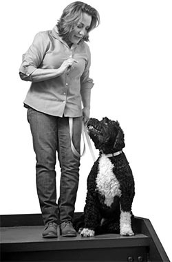 Иллюстрация к книге — Дрессировка без наказания. Пять недель, которые сделают вашу собаку лучшей в мире [i_066.jpg]