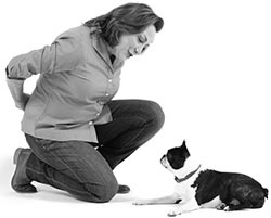 Иллюстрация к книге — Дрессировка без наказания. Пять недель, которые сделают вашу собаку лучшей в мире [i_069.jpg]