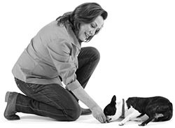 Иллюстрация к книге — Дрессировка без наказания. Пять недель, которые сделают вашу собаку лучшей в мире [i_070.jpg]