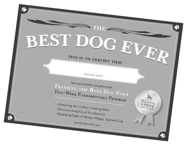 Иллюстрация к книге — Дрессировка без наказания. Пять недель, которые сделают вашу собаку лучшей в мире [i_077.jpg]