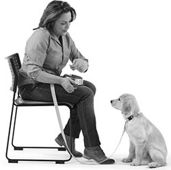 Иллюстрация к книге — Дрессировка без наказания. Пять недель, которые сделают вашу собаку лучшей в мире [i_083.jpg]