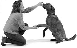 Иллюстрация к книге — Дрессировка без наказания. Пять недель, которые сделают вашу собаку лучшей в мире [i_086.jpg]