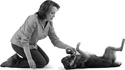 Иллюстрация к книге — Дрессировка без наказания. Пять недель, которые сделают вашу собаку лучшей в мире [i_092.jpg]