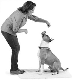 Иллюстрация к книге — Дрессировка без наказания. Пять недель, которые сделают вашу собаку лучшей в мире [i_103.jpg]