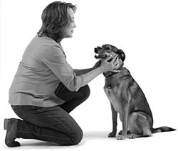 Иллюстрация к книге — Дрессировка без наказания. Пять недель, которые сделают вашу собаку лучшей в мире [i_107.jpg]