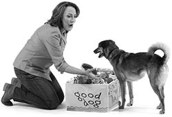 Иллюстрация к книге — Дрессировка без наказания. Пять недель, которые сделают вашу собаку лучшей в мире [i_115.jpg]