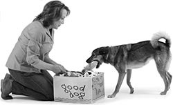 Иллюстрация к книге — Дрессировка без наказания. Пять недель, которые сделают вашу собаку лучшей в мире [i_117.jpg]