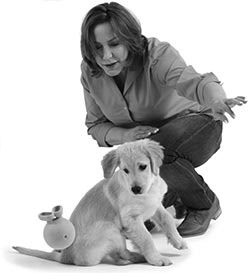 Иллюстрация к книге — Дрессировка без наказания. Пять недель, которые сделают вашу собаку лучшей в мире [i_122.jpg]