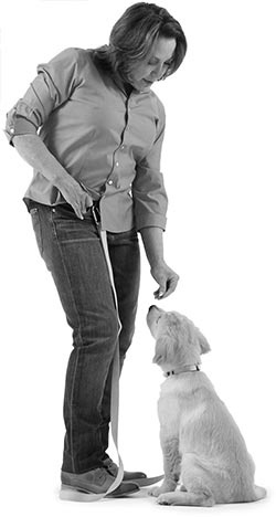 Иллюстрация к книге — Дрессировка без наказания. Пять недель, которые сделают вашу собаку лучшей в мире [i_126.jpg]