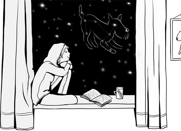 Иллюстрация к книге — Гладь, люби, хвали: нескучное руководство по воспитанию собаки [i_001.jpg]