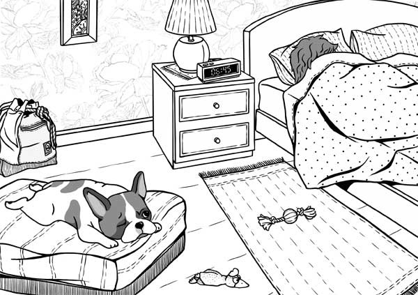 Иллюстрация к книге — Гладь, люби, хвали: нескучное руководство по воспитанию собаки [i_007.jpg]