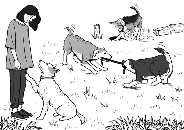 Иллюстрация к книге — Гладь, люби, хвали: нескучное руководство по воспитанию собаки [i_008.jpg]