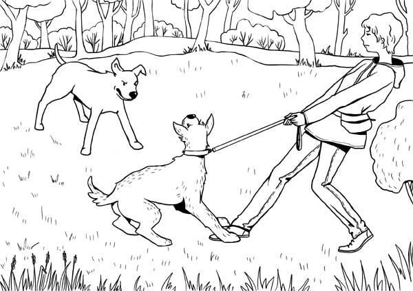 Иллюстрация к книге — Гладь, люби, хвали: нескучное руководство по воспитанию собаки [i_016.jpg]