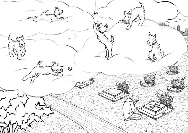 Иллюстрация к книге — Гладь, люби, хвали: нескучное руководство по воспитанию собаки [i_021.jpg]