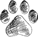 Иллюстрация к книге — Любовь к каждой собаке [i_002.jpg]