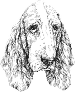 Иллюстрация к книге — Любовь к каждой собаке [i_015.jpg]