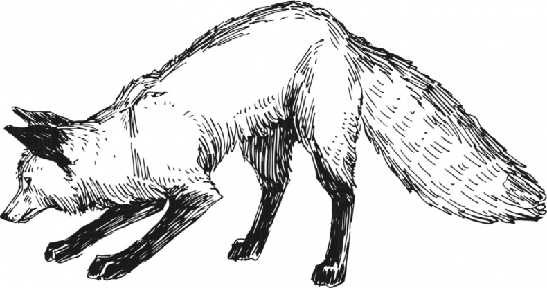 Иллюстрация к книге — Любовь к каждой собаке [i_018.jpg]