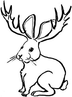 Иллюстрация к книге — Кракены и ложь [i_008.jpg]