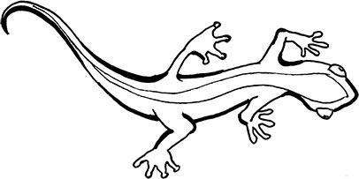 Иллюстрация к книге — Кракены и ложь [i_014.jpg]