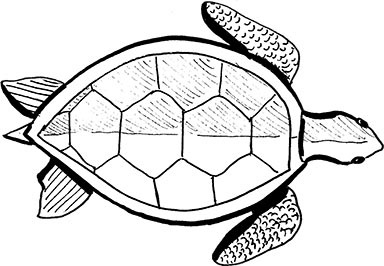 Иллюстрация к книге — Кракены и ложь [i_015.jpg]