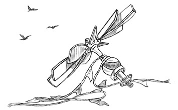 Иллюстрация к книге — Вопреки всему [i_007.jpg]