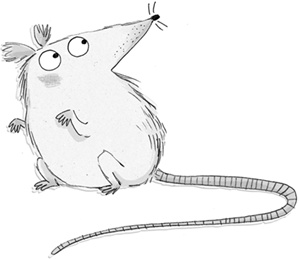 Иллюстрация к книге — Вредная девчонка в школе [i_006.jpg]