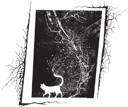 Иллюстрация к книге — Приоткрытая дверь  [i_004.jpg]