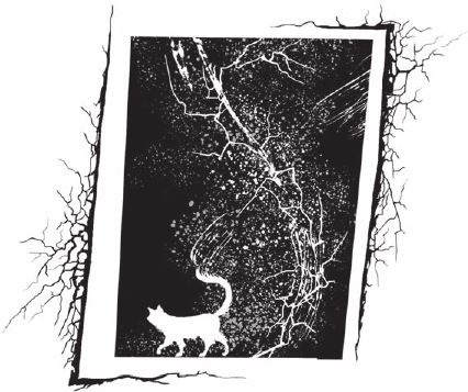 Иллюстрация к книге — Приоткрытая дверь  [i_033.jpg]