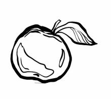 Иллюстрация к книге — Серебряный Ястреб [i_002.jpg]