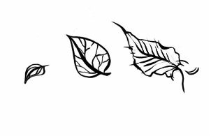 Иллюстрация к книге — Серебряный Ястреб [i_018.jpg]