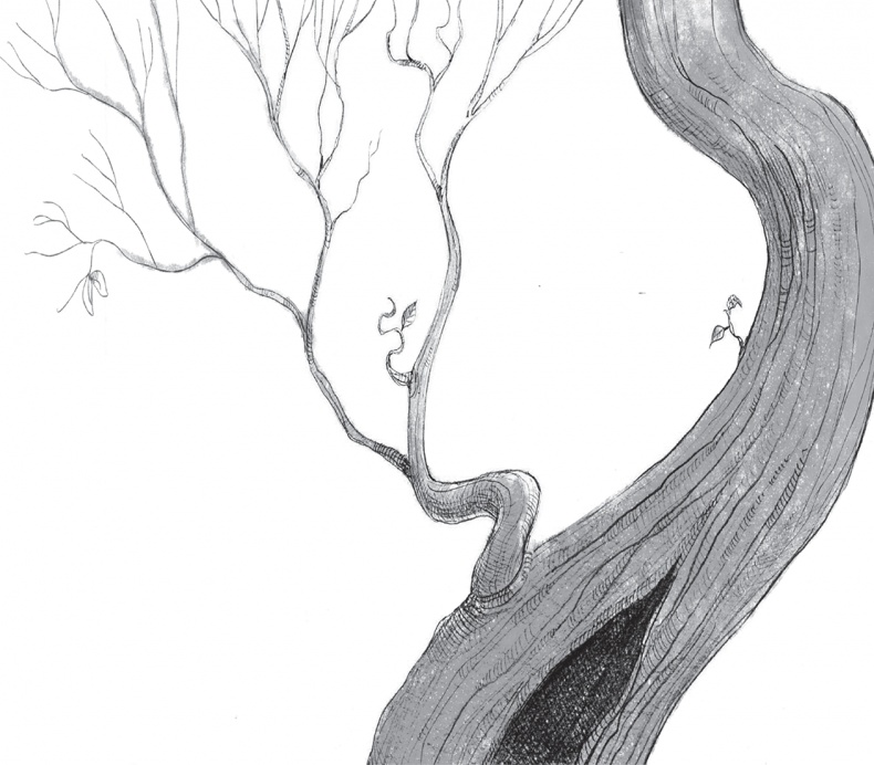 Иллюстрация к книге — Сердцевинум [img4ee99597912a40e683e6af680fdaec2c.png_0.jpg]