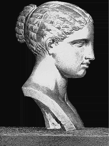 Иллюстрация к книге — Лагуна. Как Аристотель придумал науку  [i_004.jpg]