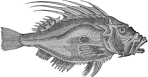 Иллюстрация к книге — Лагуна. Как Аристотель придумал науку  [i_009.jpg]
