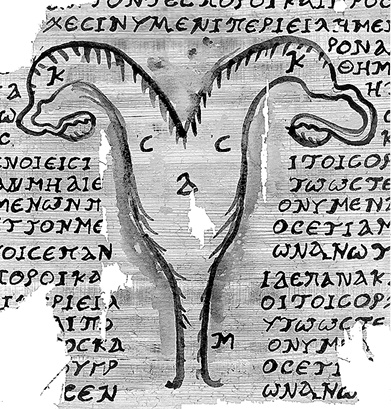 Иллюстрация к книге — Лагуна. Как Аристотель придумал науку  [i_040.jpg]