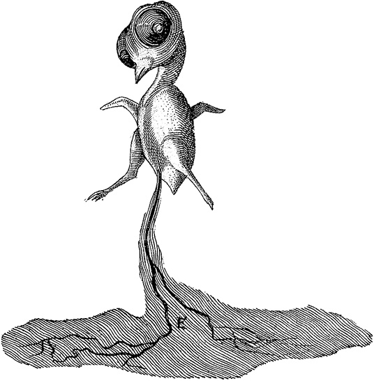 Иллюстрация к книге — Лагуна. Как Аристотель придумал науку  [i_042.jpg]