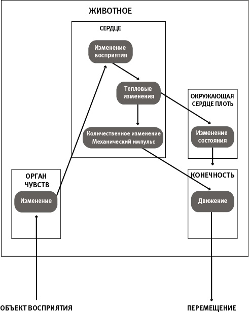 Иллюстрация к книге — Лагуна. Как Аристотель придумал науку  [i_079.jpg]