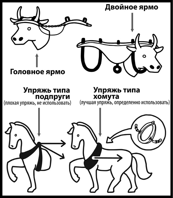 Иллюстрация к книге — Как изобрести все [i_039.jpg]