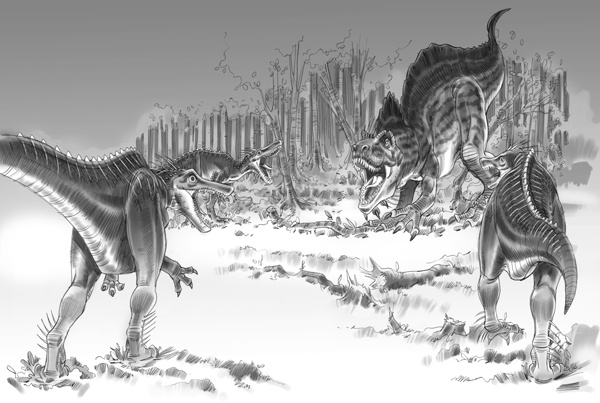 Иллюстрация к книге — Тайна дерева-храма [i_031.jpg]